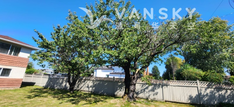 251101103125_WhatsApp Image 2025-10-26 at 12.04.45 PM 1.jpeg